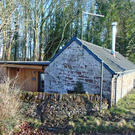 Dreamwood Cottage, Loch Lomond, Luxury Apartment. Glasgow Kültér fotó