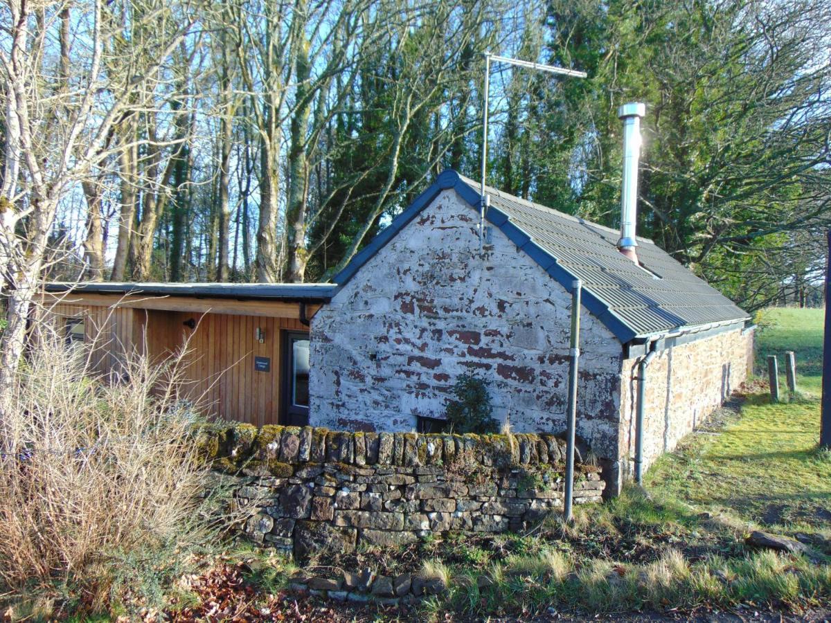 Dreamwood Cottage, Loch Lomond, Luxury Apartment. Glasgow Kültér fotó