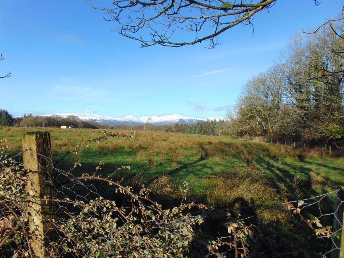 Dreamwood Cottage, Loch Lomond, Luxury Apartment. Glasgow Kültér fotó