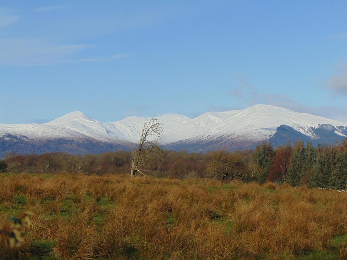 Dreamwood Cottage, Loch Lomond, Luxury Apartment. Glasgow Kültér fotó